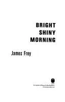 Bright Shiny Morning by James Frey